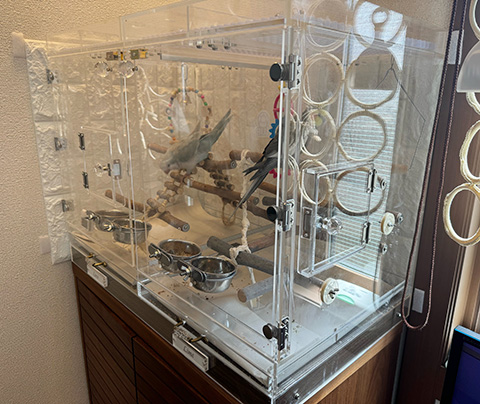 アクリルケースのそれぞれの部屋に小窓つき